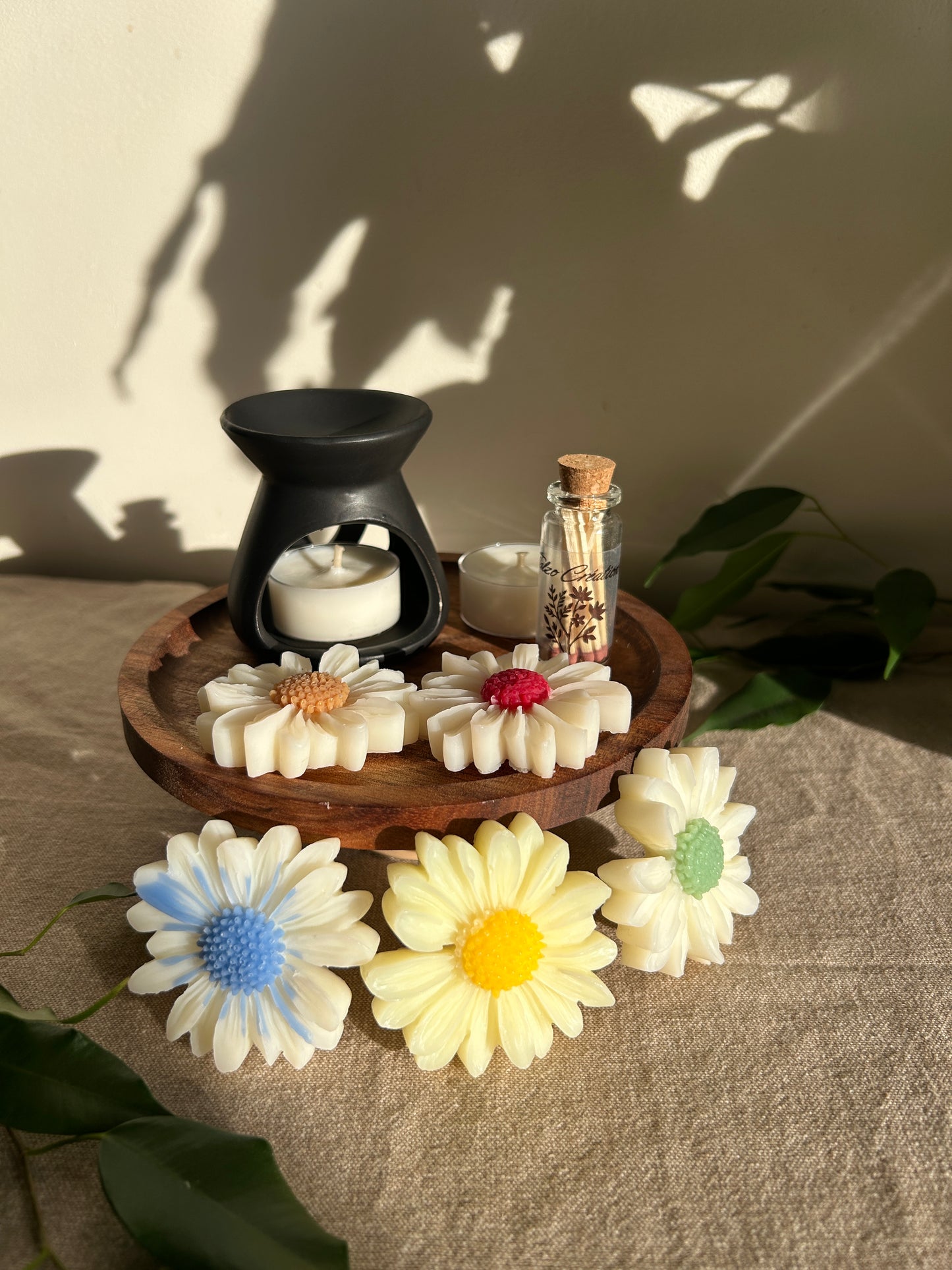 Coffret découverte Marguerites